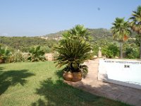 Mallorca 483